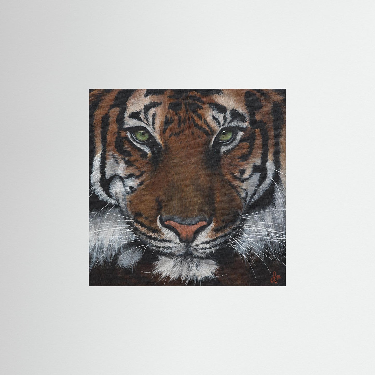''Eye of the tiger'' Print on Fine Art Paper