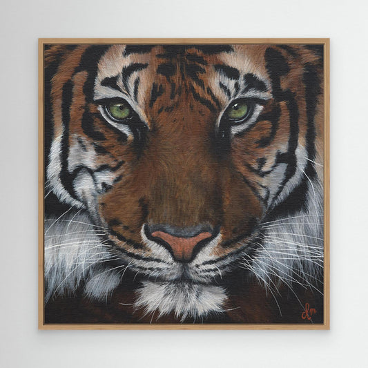 ''Eye of the tiger'' Canvas Art Print