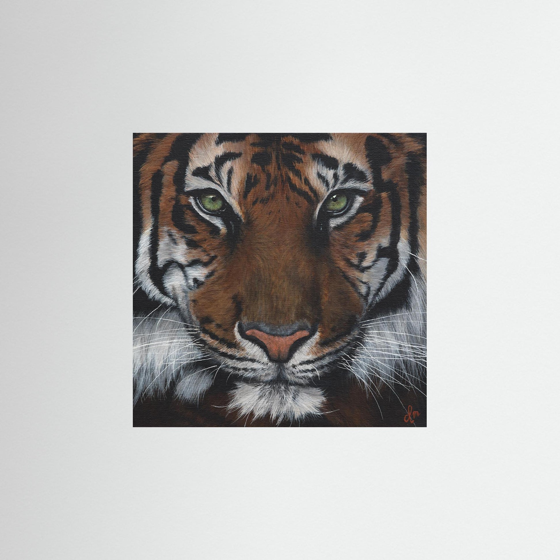 Tiger Wall Art – Fine Art Print – Wildlife Animal Poster – Denise Martens Art